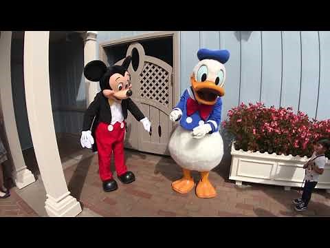Who does it BETTER?! Mickey Mouse VS Donald Duck // Disneyland