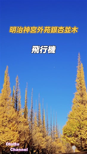 東京観光で訪れるべきスポット