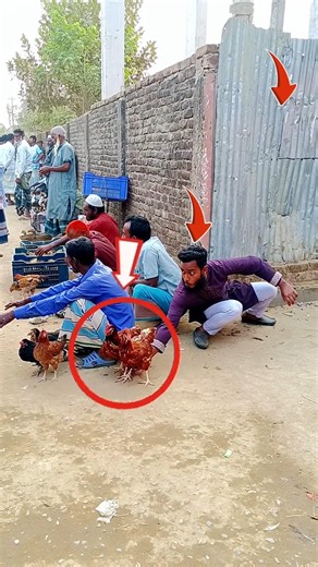 The “Chicken Trick” That Shocked Everyone 😂🤣 #funny #comedy