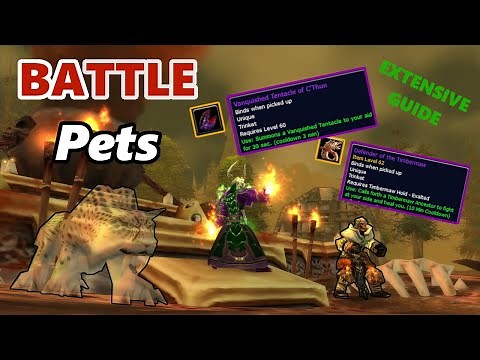 Battle Pets in Classic WoW (Extensive Guide)