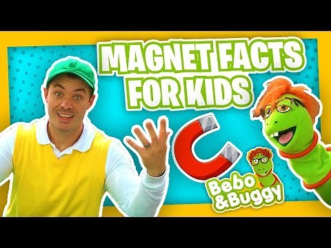 Facts About Magnets For Kids with Bebo and Buggy