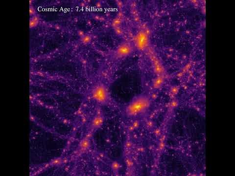Cosmological Simulation: Large Scale Structure Formation ｜L10-N196