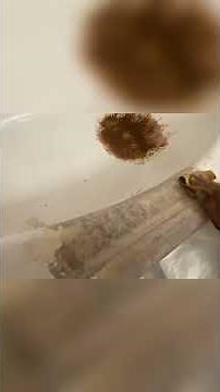Sanding down BondoGlass on a fiberglass bathtub crack repair #diy