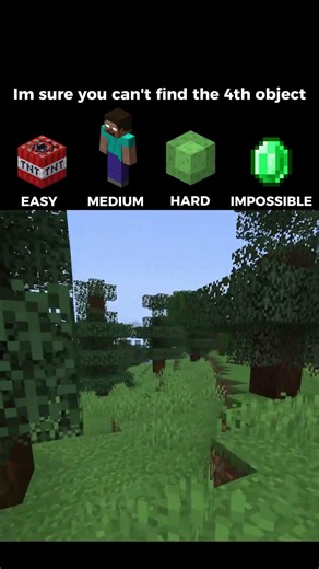 🔍 Can You Find All the Hidden Minecraft Objects?
