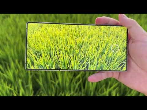 REDMAGIC 10s Pro Camera Test 🔥