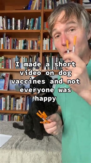 As a vet what vaccines I give and NEVER give my dog #dogvaccination #vaccine #doghealth #vaccinesideeffect | Daily Pet Tips