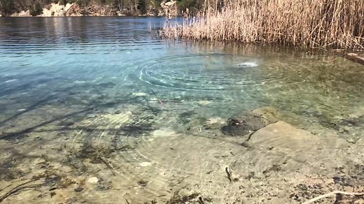 Experiment: underwater firecrackers #experiment #firecracker #explosion #underwater