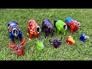 Mencari dan menemukan serta menebak kepala sapi moo, sapi lucu, sapi warna warni, kerbau bertanduk