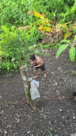 lost Internet connection🤦 #shortvideo #funny