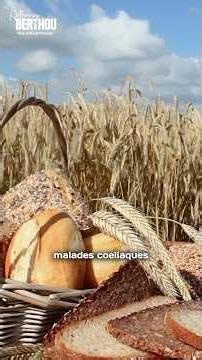 "Gluten intolerance" doesn't exist - Episode 8 excerpt