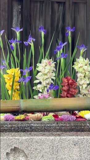 北野天満宮【花手水】どっしりとした手水鉢には「梅香水」の文字が刻まれ、中央の御神牛とともに写真撮影スポットとしても人気（2026年4月23日）