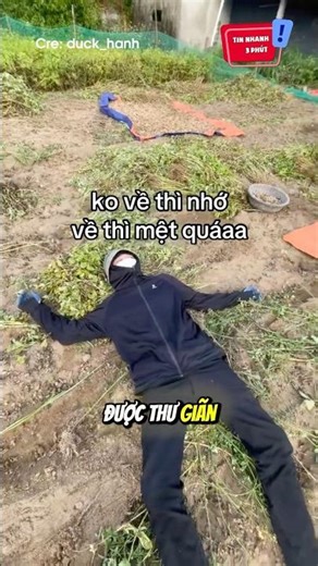 Tình hình chung của nhiều bạn nghỉ lễ =))) 😆 #shorts