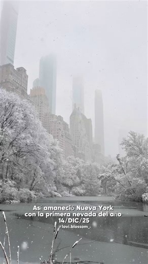 Vianey Molina on Instagram: "Así amaneció Nueva York con la primera nevada del año 2025 De los lugares más hermosos para disfrutar la nieve es en Central. Recuerda abrigarte bien y usar calzado ideal para no resbalar. Ya te ha tocado estar en Nueva York con nieve? 😍❄️☃️ 🏷️ snow in New York City, snowing in New York, nieve en nueva York, Christmas in nyc, navidad en Nueva York. #thingstodoinnyc #nycsnow #centralpark #snowing #christmasinnewyork #navidad #newyorkcity #viajarbarato #manhattan #ni