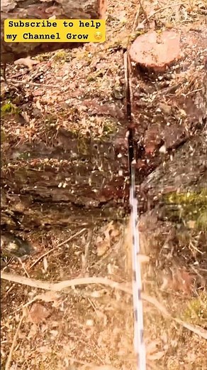 Stihl ms 500i - The Chainsaw That Went To Hell and Back