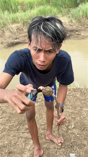 mercon apa itu chat