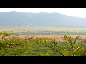 Serengeti Serena Safari Lodge