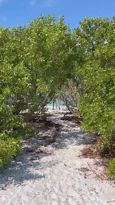 Journey to the ocean waves of Shell Key with us 🏝️🌊 | Get Up And Go Kayaking