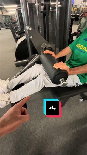 Mastering Leg Workouts for Bodybuilding Gains