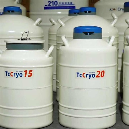 Liquid Nitrogen Dewer 20 l Cryogenic Tank Molecular Gastronomy LN2 Cryogenic Storage Dewar for Smoke Ice Cream