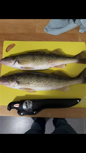 Catch and Cook: Ice Fishing for Walleye Tips