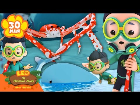 PENYELAMATAN HEWAN BAWAH AIR! Paus, kepiting, dan LAIN! 🐳 | Leo Si Penjaga Alam | Kartun Anak