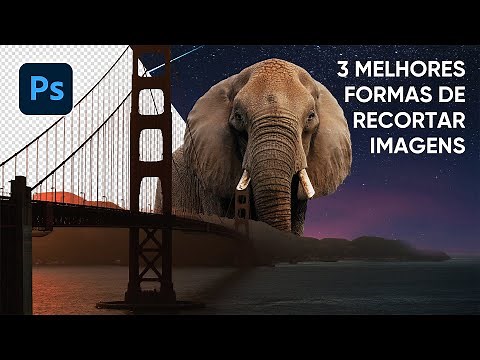 3 Melhores Formas de Como Recortar uma Imagem no Photoshop