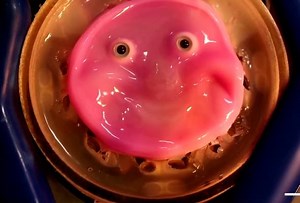 Say cheese: Japanese scientists make robot face 'smile' with living skin