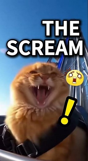 “Real Cat Screams on a Roller Coaster 😱 You Won’t Believe This!” #cat #scream