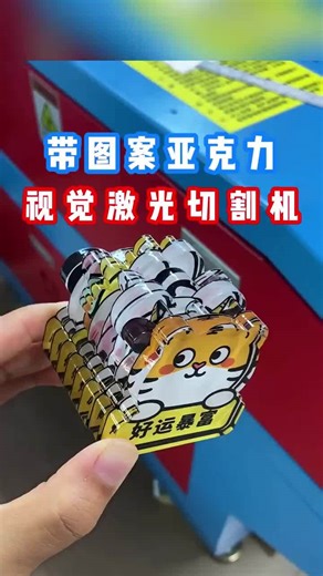 Redsail laser on Instagram: "CCD Vision-Guided Automatic Edge-Following Acrylic Laser Cutter"