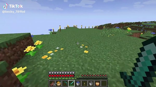 Exploring Funny Minecraft Memes and Gameplay