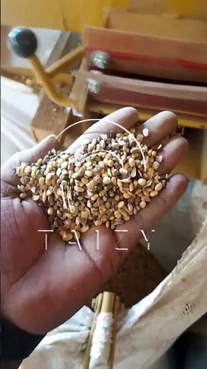 Large Output Grain Sesame Production Line | Soybean Cleaning Machines