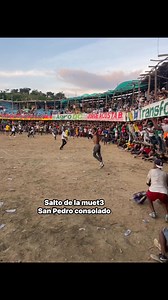 Danny Page Published on Reels