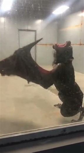 BIO-REALM ARCHIVES // File F-23 — Why Does This Trigger Fear?