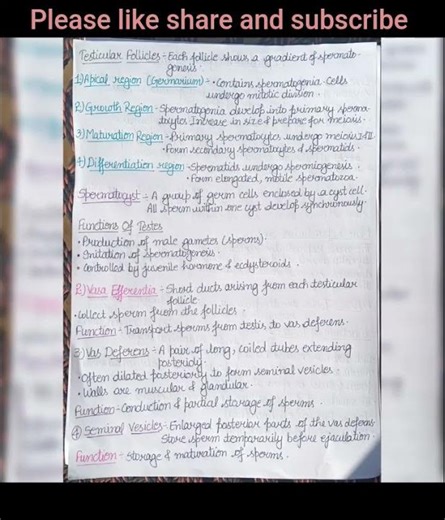 Male reproductive system of insects #zoology notes