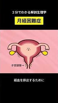【２分でわかる】月経困難症