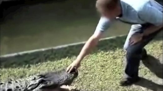 5 Real Crocodile Attacks On Humans Caught On Tape