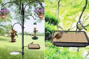 $40 Bird Feeding Station Provides a Pretty Place for Birds to Feast