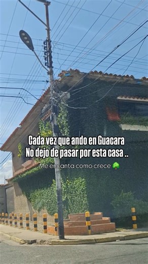 GUACARA POWER on Instagram: "ME ENCANTA 💖 ¿La conoces ? . #Powerguacareño . . #guacara #venenzuela"