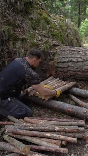 Survival Shelter Under a Fallen Tree