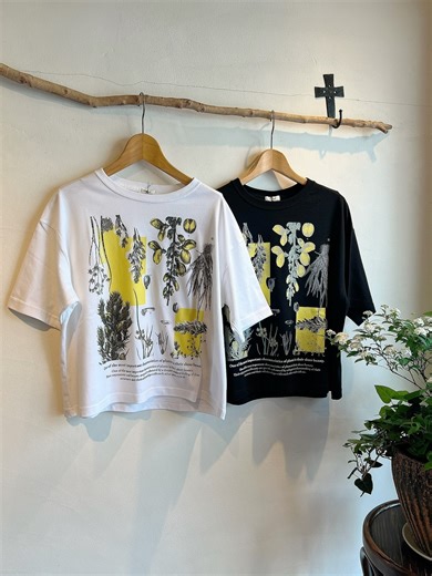 manipuri / SHORT SLEEVE T-SHIRT S【ボタニカル】 | anouk
