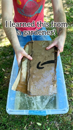 How to make biodegradable planter pots!