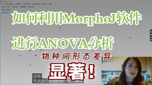 MorphoJ: How do you carry out a Procrustes ANOVA?-茶茶向上游-茶茶向上游-哔哩哔哩视频