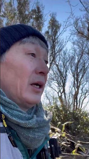 2026金時山 金時見晴パーキングから最短ルート #低山 #金時山 #箱根 #ハイキング