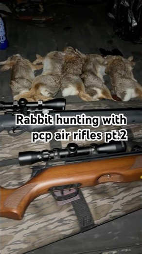 Rabbit hunting with high power air rifles #outdoors #hunting