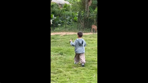 Boy’s adorable reaction after alpaca spits in Fujian, China