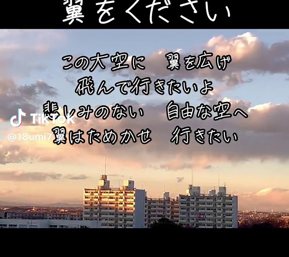 この大空に 翼を広げ 飛んで行きたいよ 悲しみのない 自由な空へ 翼はためかせ 行きたい🥹 #森本ナムア #翼をください #jpop #自由