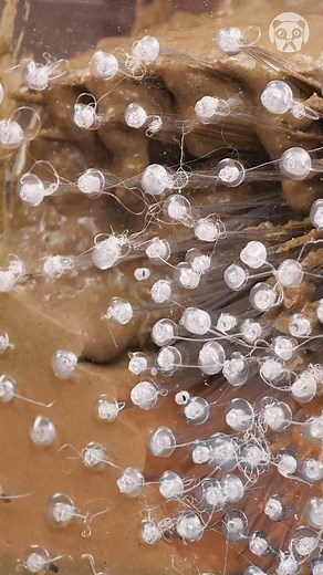 Awesome Optic Fiber Cement Cube | Bored Panda Art