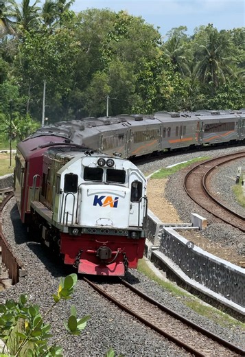 Ka Manahan cc204 03 01 yk Solo Balapan - Gambir Jakarta Spot Hunting Kereta Api Meliuk Dapat Sapaan Masinis Ramah #railfansindonesia #keretaapiindonesia #lokomotif #masinis #fyppppppppppppppppppppppp