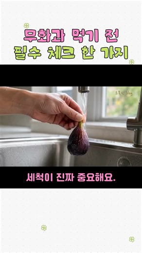 무화과 먹기 전 필수 체크 한 가지 #무화과 #무화과먹는법 #무화과씻는법