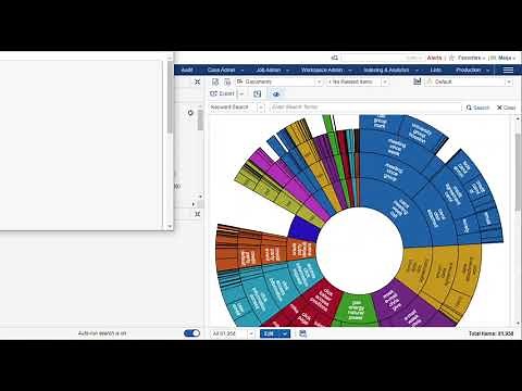 Ricoh Relativity Conceptual Analytics: Clusters